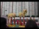 lion dance in tko lion dance in tko