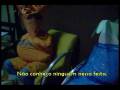 videos de Festa da Mollusca