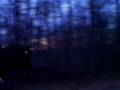 videos de 054
