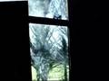 videos de The Wrath meet The Wrath of Le Man