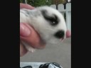 Lickity Split