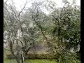 Snowing from the left!