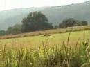 Venture 60 RC Plane Venture 60 RC Plane