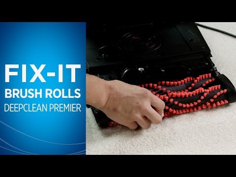 Deep Clean Premier Brush Roll Maintenance