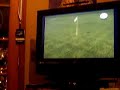 wii tiger woods 08 perfect chip-in wii tiger woods 08 perfect chip-in