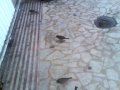 Video006.3gp
