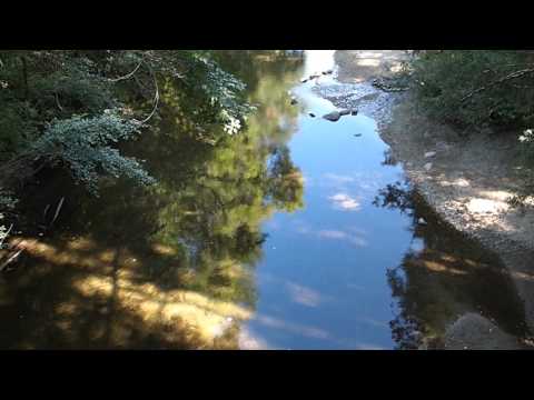 San Lorenzo River, Santa Cruz, CA. Henry Cowell Redwoods State Park