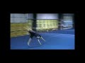 2010 Cheer Tumbling
