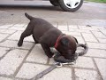 Fluke schattig!