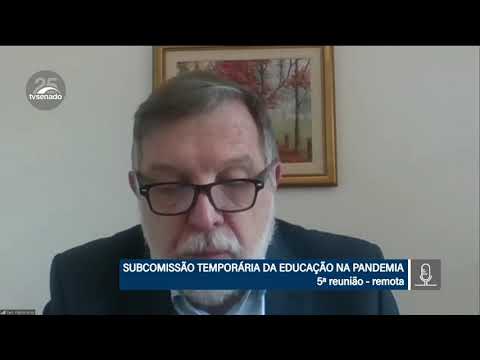 Efeitos da pandemia para alunos da zona rural, afrodescendentes e indígenas | CECTCOVID