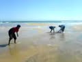 playa de sechura..... playa de sechura.....