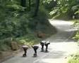 Darnétal 2007 - longskate