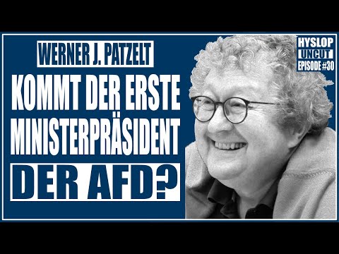 Prof. Werner J. Patzelt zu Neuwahlen, AfD-Verbot und Landtagswahlen in Sachsen, Thüringen und Brandenburg