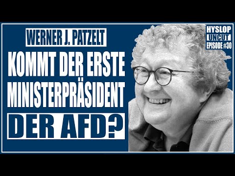 Prof. Werner J. Patzelt zu Neuwahlen, AfD-Verbot un ...