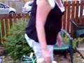 birtley bear