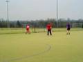 UTS v Flemish Saddlers
