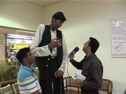 the second tallest man in the world