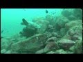 South American Cruises - Blue Water Journeys - YouTube