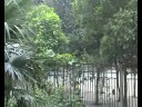 777777