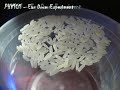 PHY101 experiment - Ear Drum