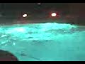 blake gantz belly flop of a lifetime