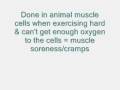 videos de Cell Respiration