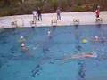 FHTC Herren - SC Chemnitz (Wasserball