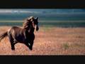 Celtic Panpipes Ride On