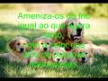 ORAÇÃO DO CÃO ABANDONADO.wmv