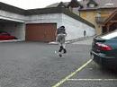 Whip fakie de Mikmxt Whip fakie de Mikmxt