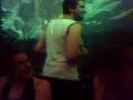 chicken dance like a wog