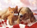 ti scatterò una foto.. ti scatterò una foto..