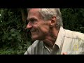 Saving the Mountain Gorillas