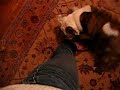 Auggie Hog Tying Momma Auggie Hog Tying Momma