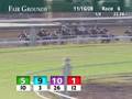FAIR GROUNDS, 2008-11-16, Race 6