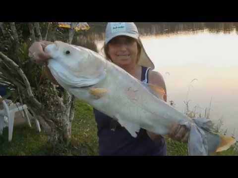 Programa Pesca Náutica e Cia 73 de 07.09.2017 Programa Pesca Náutica e Cia 73 de 07.09.2017