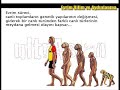 fb antifb ultraslan gfb fenerbahce galatasaray azize fb antifb ultraslan gfb fenerbahce galatasaray azize
