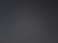Birds Flying
