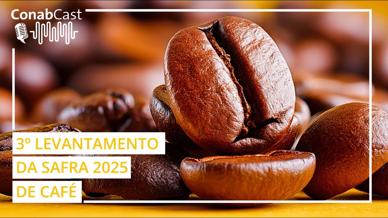 Levantamento da Conab aponta para uma produção de café de 55,2 milhões de sacas na safra 2025