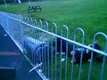 kieran and the bin
