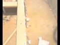 videos de empesando el trabajo