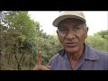 A green future for Nicaragua