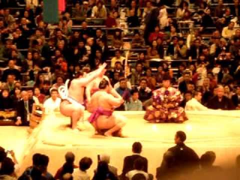 横綱白鵬土俵入り 24年3月場所 中日