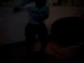 Ranze un Wucherzins dance Ranze un Wucherzins dance
