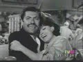 Piporro 2