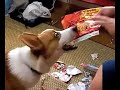 シュレッダー