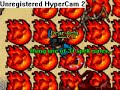 Pally Hunt