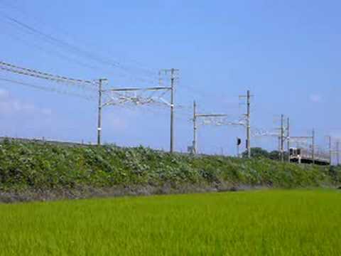 311系（2008年9月撮影）