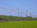 311系（2008年9月撮影）