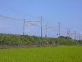 311系（2008年9月撮影）